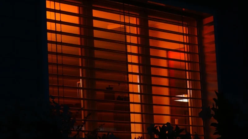 Plisy Kraków: Cechy, Zalety i Najlepsze Miejsca do Ich Znalezienia